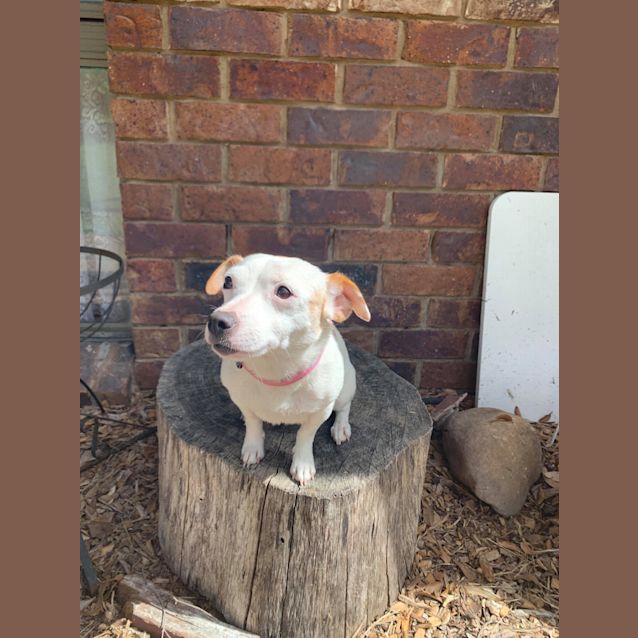 Photo of Vanilla 