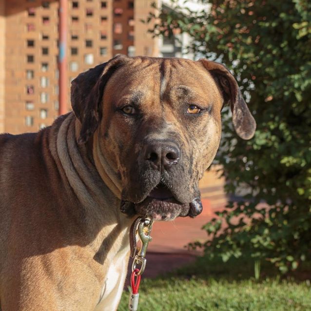 Photo of Johnny D0010