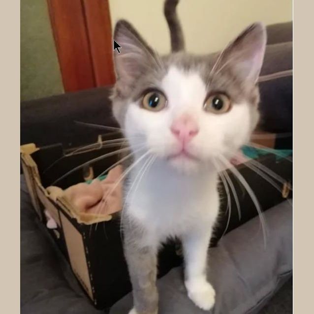 Photo of Amy