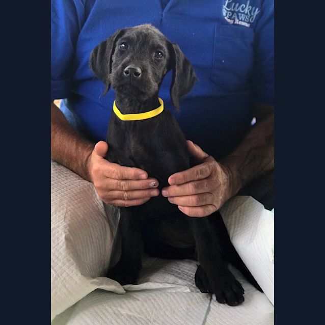 Photo of Penelope  