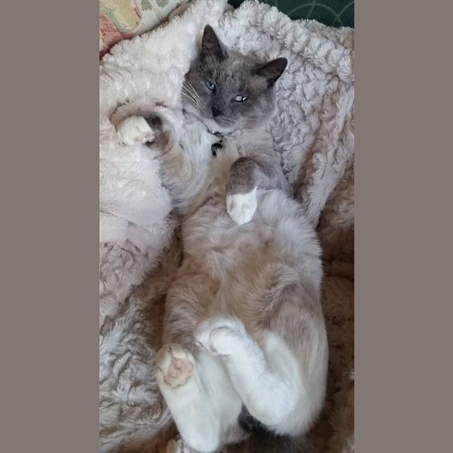 Photo of Emmett