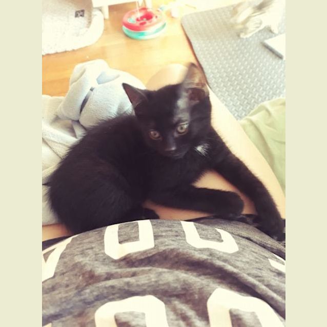 Photo of Rascal