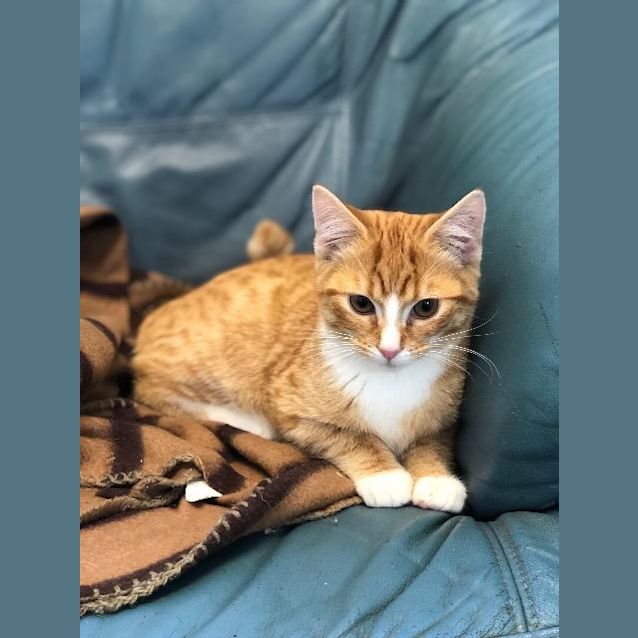 Photo of Garrith