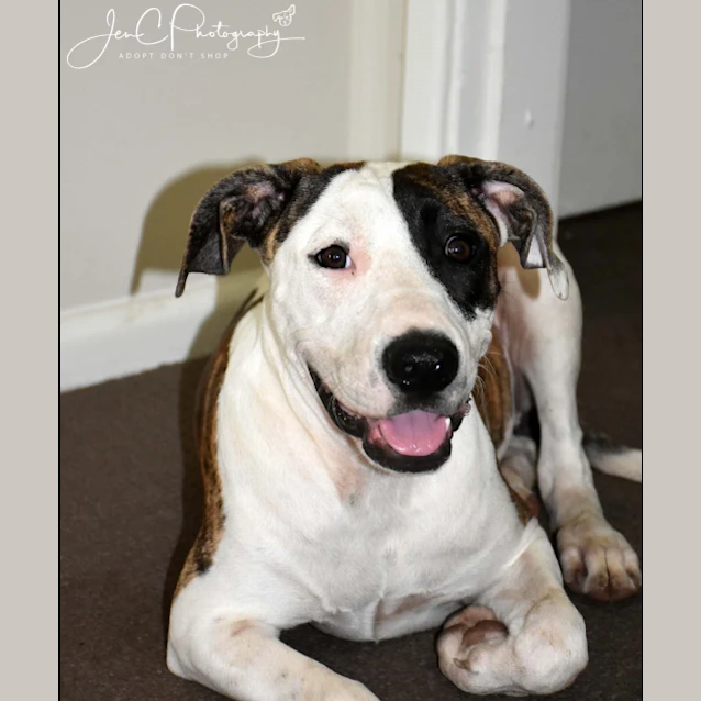 Photo of Suzie   Love Multiplied