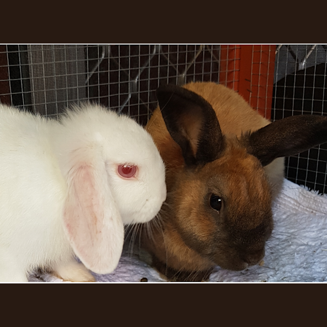 Photo of Hunter And Aspen