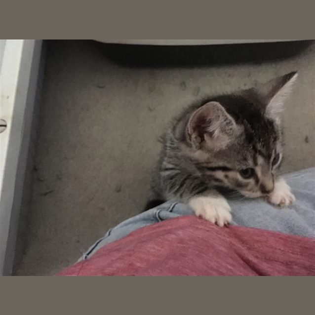 Photo of Arya