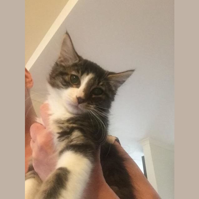 Photo of Smudge Wobbles