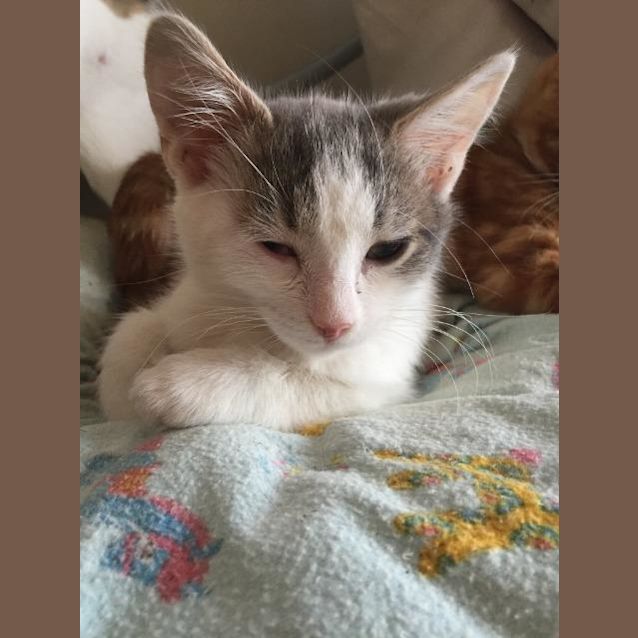 Photo of Clarabella