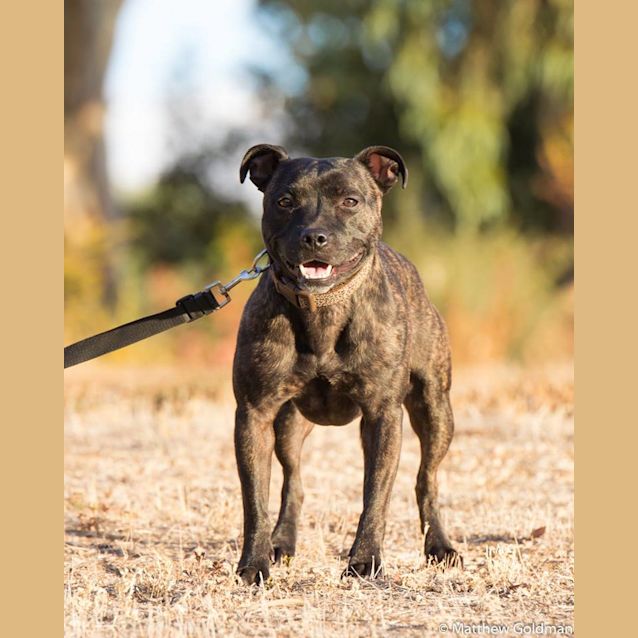 Photo of **On Trial**  Molly