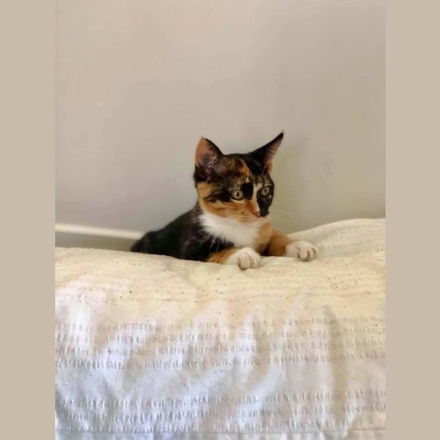 Photo of Mia
