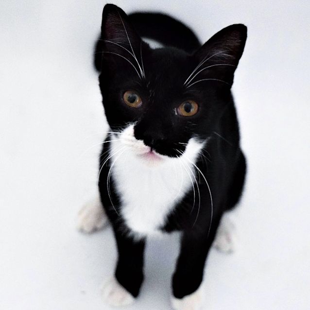 Photo of Klaus