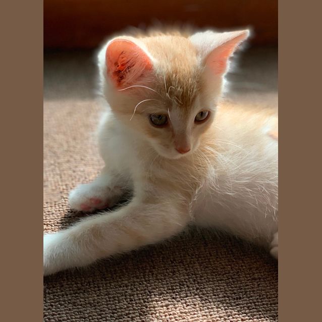 Photo of Keegan 🐯
