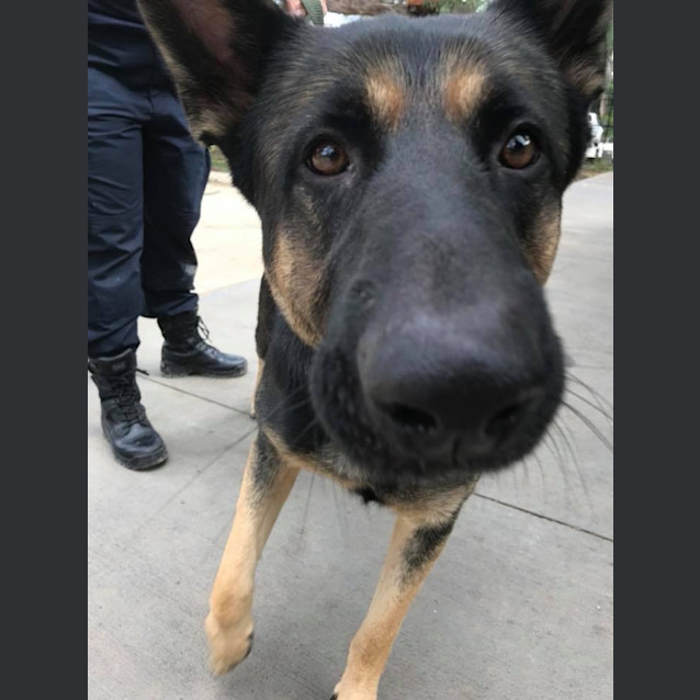 Photo of 1200 Prince 