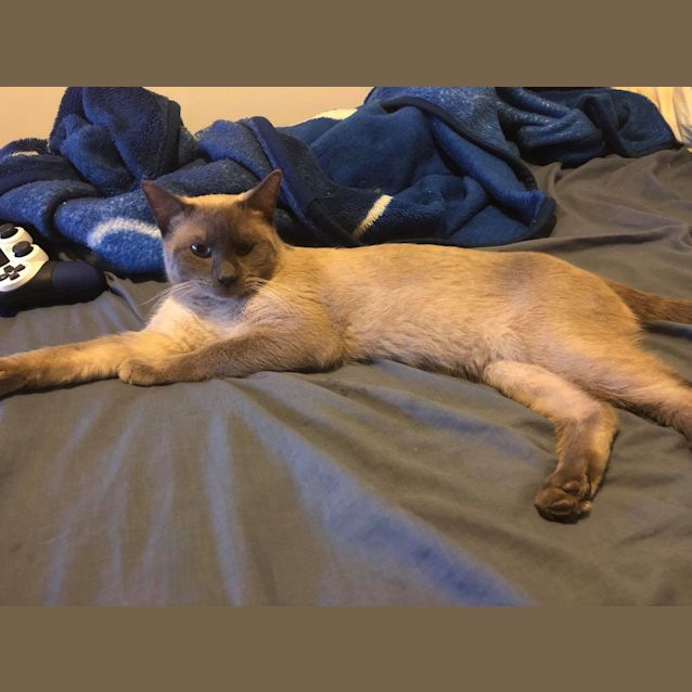 Photo of Luca