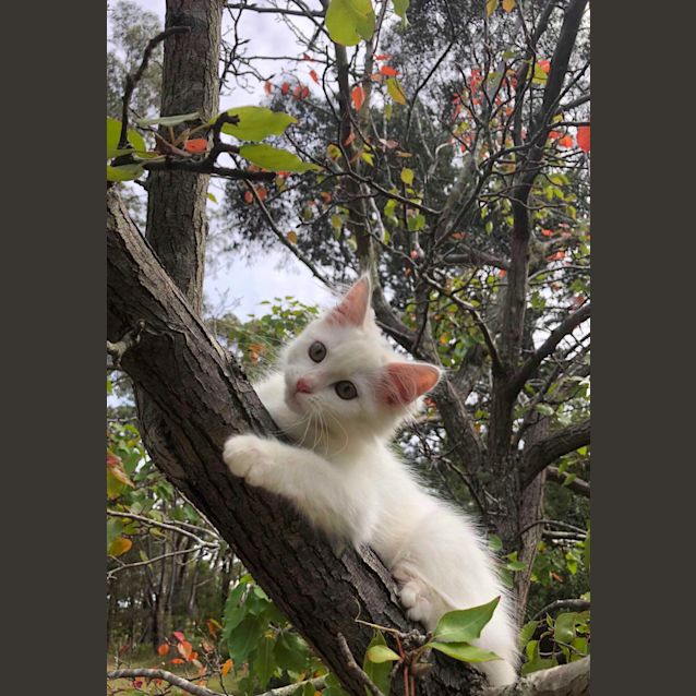 Photo of Bianca 💖