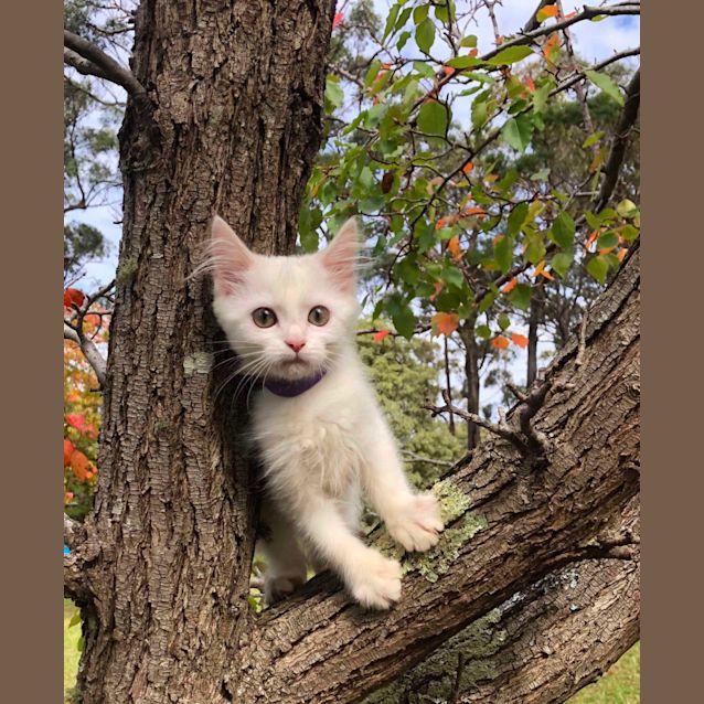 Photo of Kenzie 💖