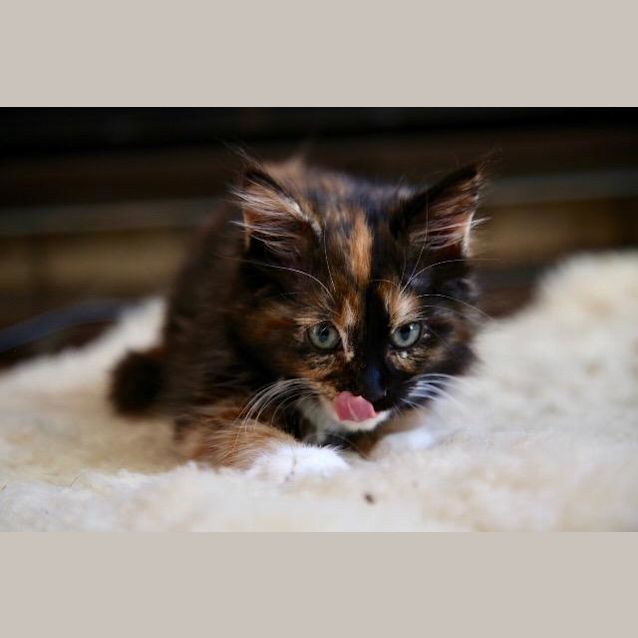 Photo of Tuesday