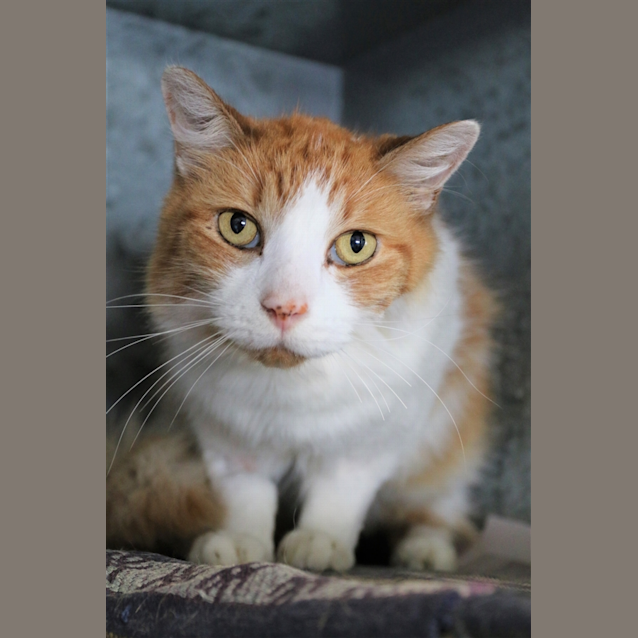 Photo of Jasper