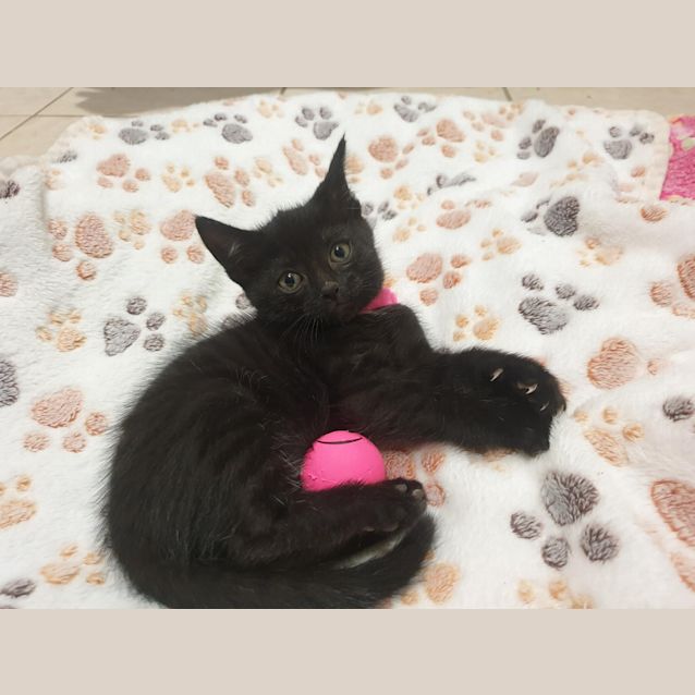 Photo of Fondue 