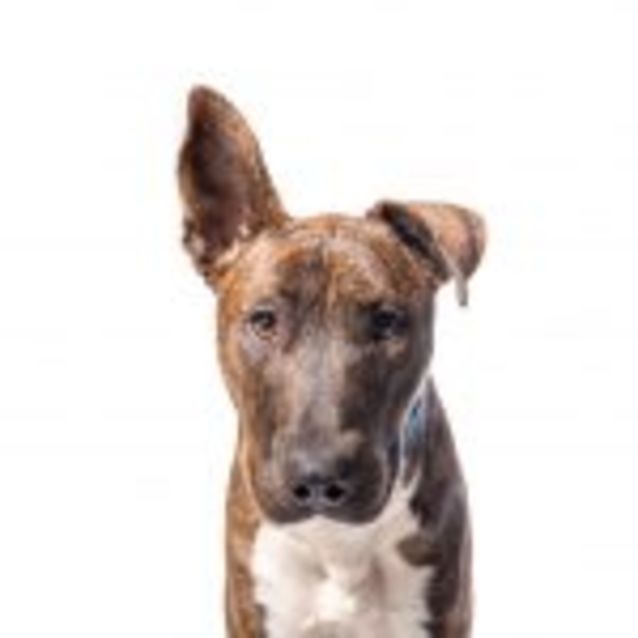 Photo of Regis