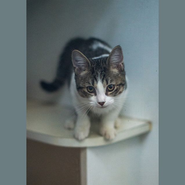 Photo of Earl