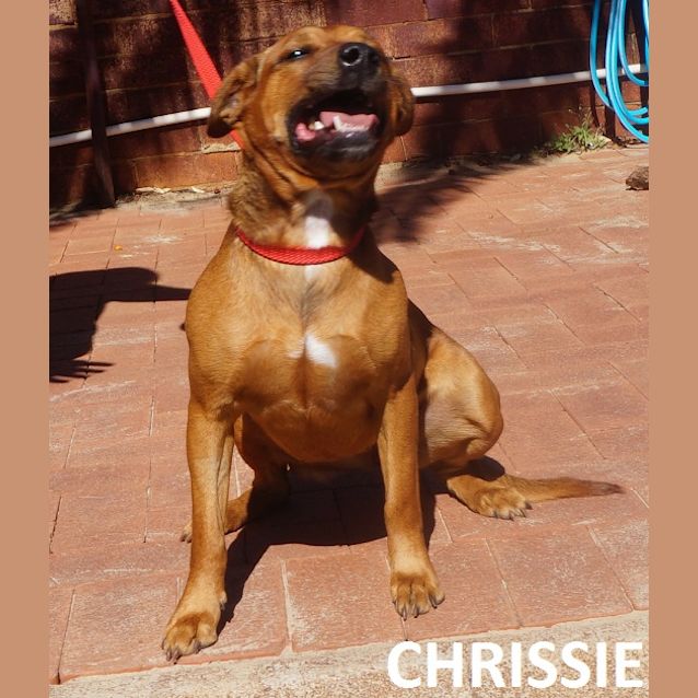 Photo of Chrissie