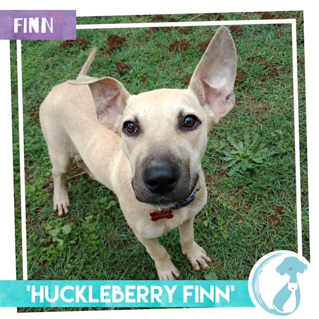 Photo of Finn