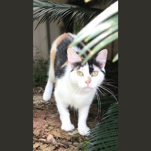 Photo of 🌼Polly🌼