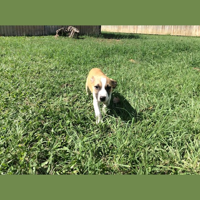 Photo of Nellie