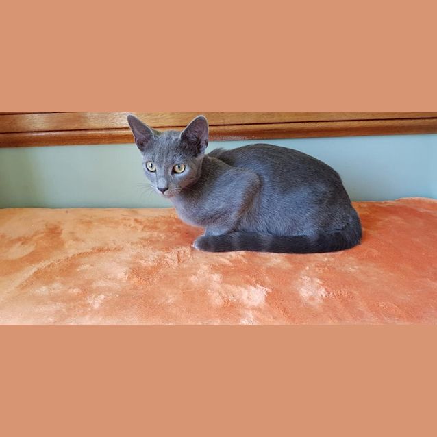 Photo of Stormy