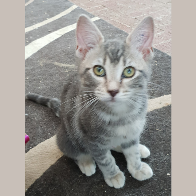 Photo of Zoe And Sebastian