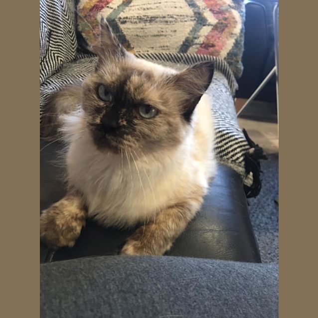 Photo of Isobelle 