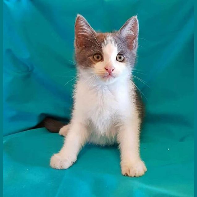 Photo of Monty