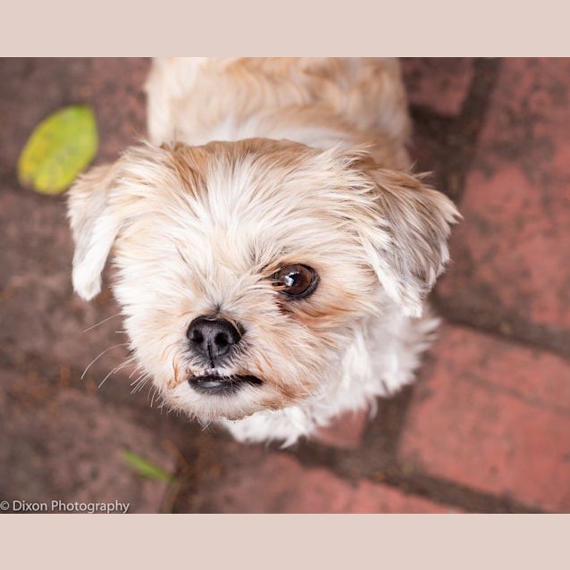 Photo of Billie Bullet Jamieson