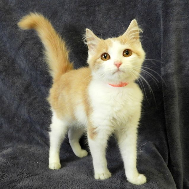 Photo of Candy