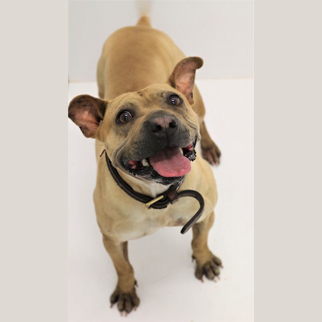 Photo of Rolo