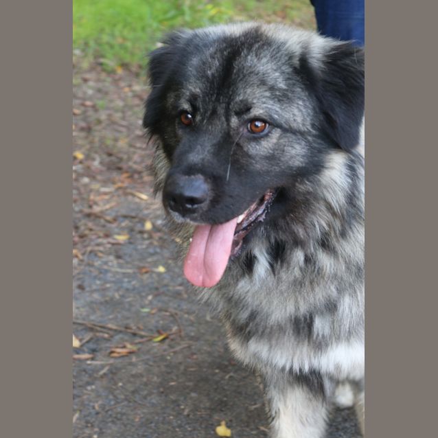Photo of Boone