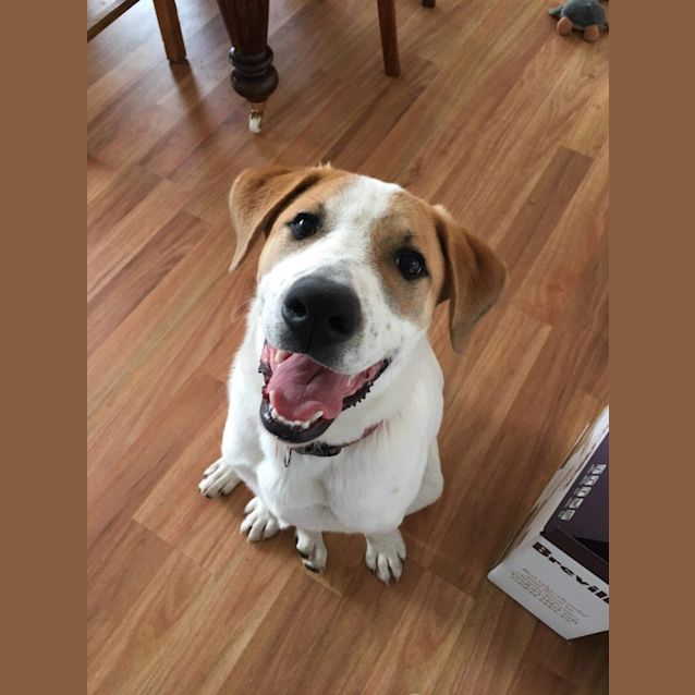 Photo of Prince  ** On Trial **