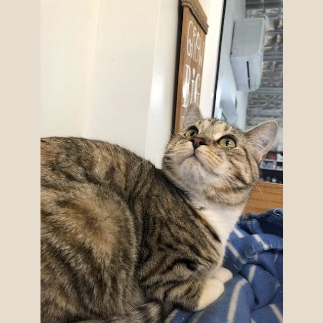 Photo of Erin