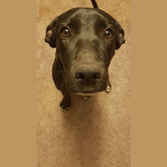 Photo of Cosby