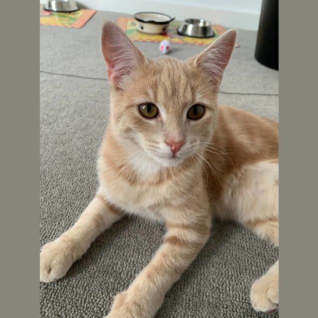 Photo of Brilliant Billy