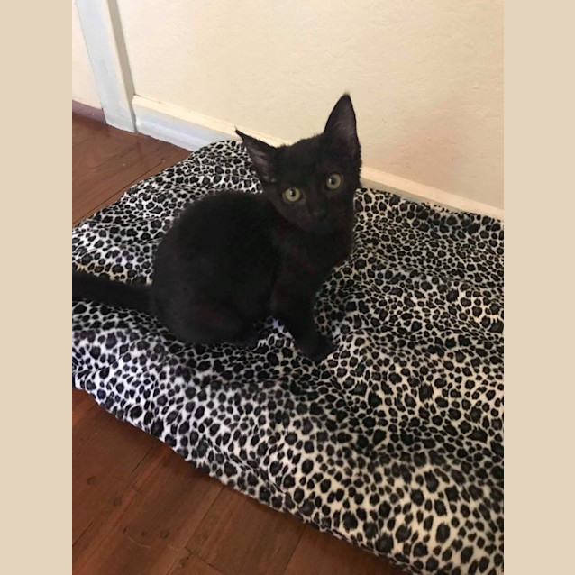 Photo of Fran 