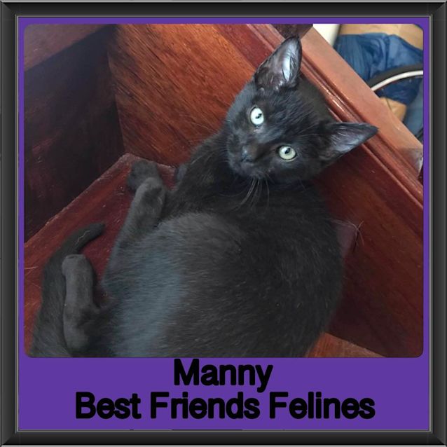 Photo of Manny