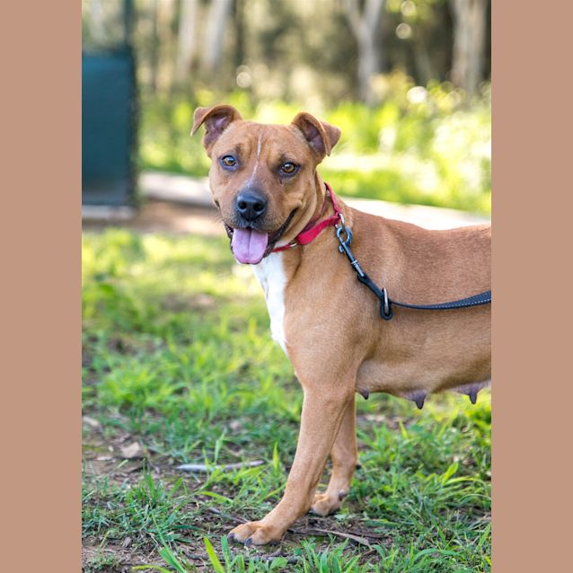 Photo of Diamond
