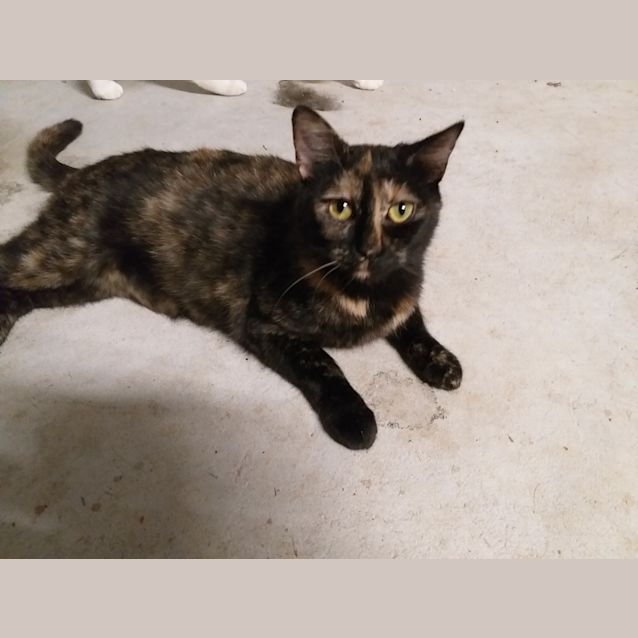 Photo of Mischief