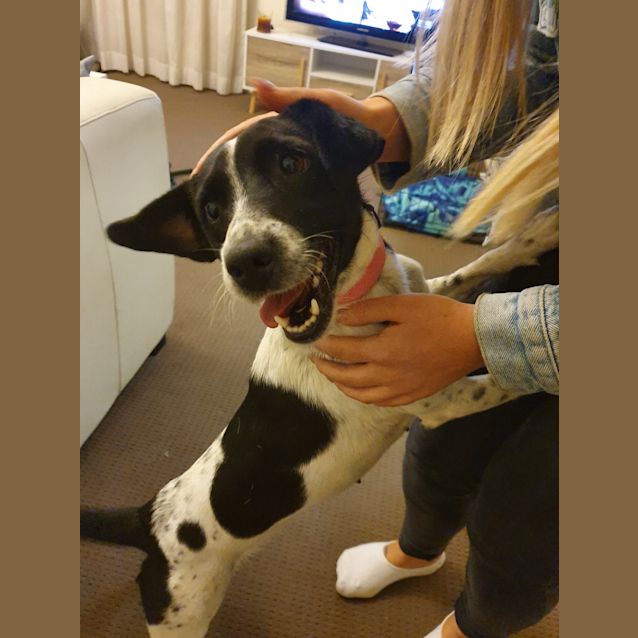 Photo of Pippa