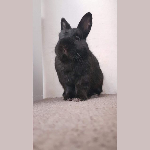 Photo of Mit And Hip