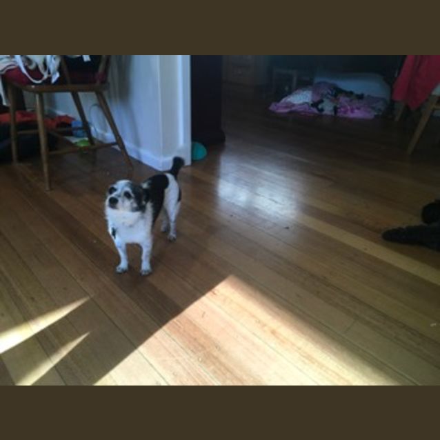 Photo of Pepsi