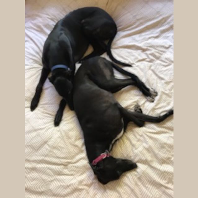 Photo of Larry & Hankie