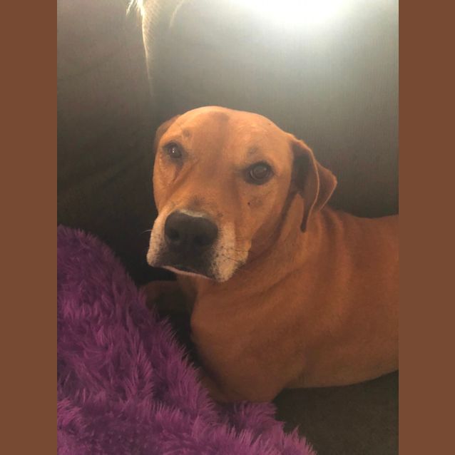 Photo of Toby Ollie